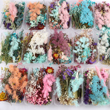 Load image into Gallery viewer, 1 Box Natural Dried Flowers for Candle, Soap, Resin Decoration, Resin Filling, Nail Art Decals, Epoxy Mold, Jewelry DIY