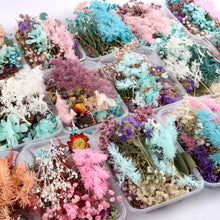 Load image into Gallery viewer, 1 Box Natural Dried Flowers for Candle, Soap, Resin Decoration, Resin Filling, Nail Art Decals, Epoxy Mold, Jewelry DIY