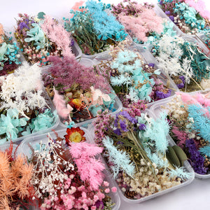 1 Box Natural Dried Flowers for Candle, Soap, Resin Decoration, Resin Filling, Nail Art Decals, Epoxy Mold, Jewelry DIY