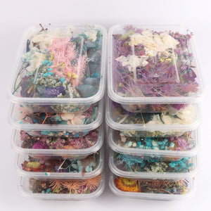 1 Box Natural Dried Flowers for Candle, Soap, Resin Decoration, Resin Filling, Nail Art Decals, Epoxy Mold, Jewelry DIY